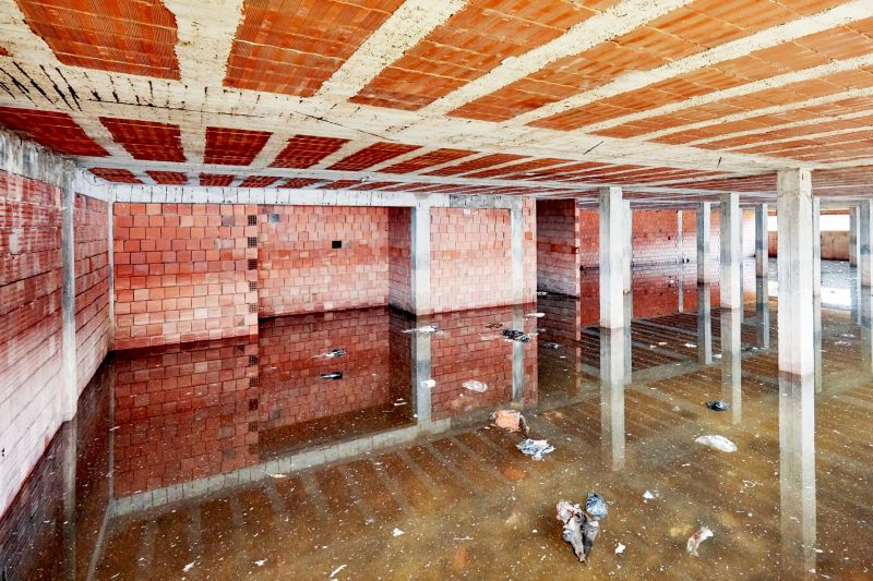 Basement Water Cleanup in Scottsdale, AZ