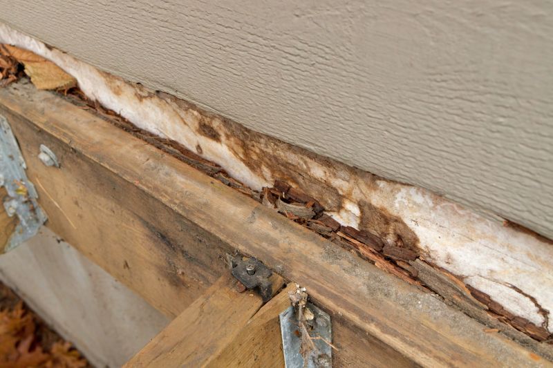 Dry Rot Repair in Kansas City, MO
