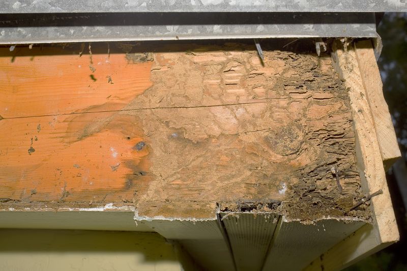Dry Rot Repair in Denver County, CO