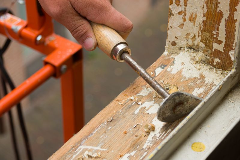 Rot Repair Service in Littleton, CO
