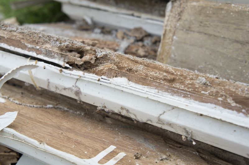 Rotten Wood Repair in Conroe, TX