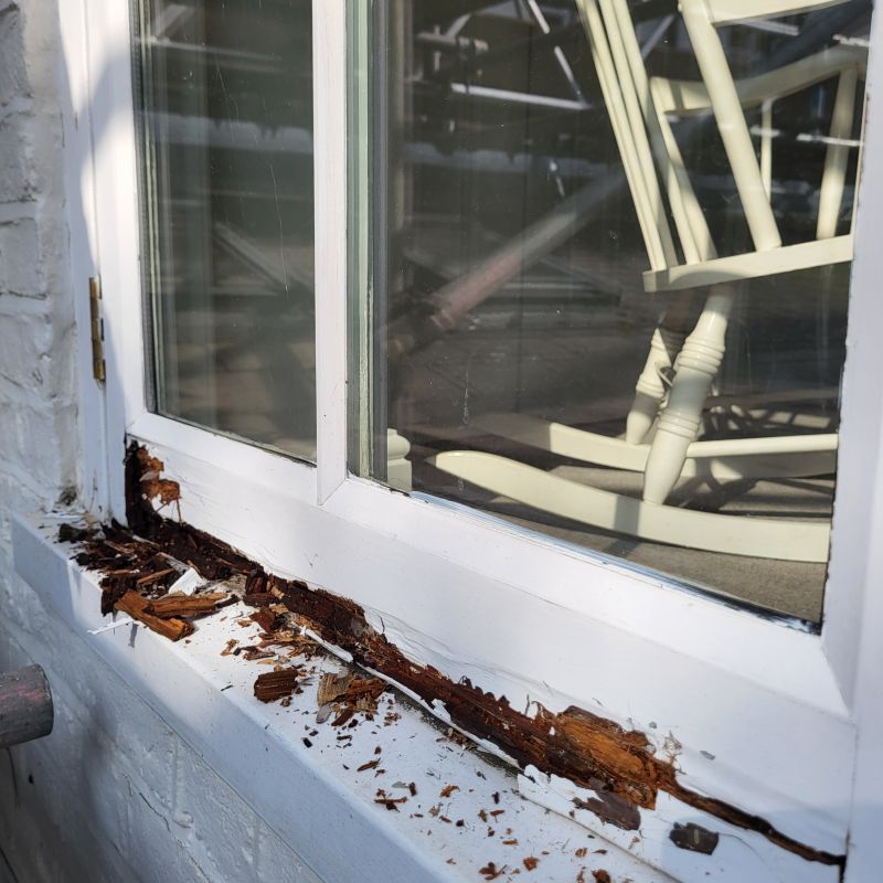 Wood Deterioration Restoration
