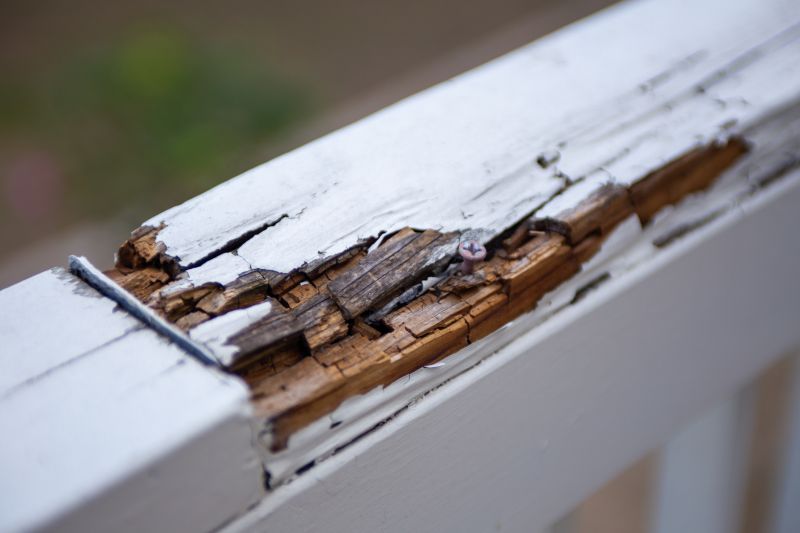 Decay Repair Service in Denver, CO