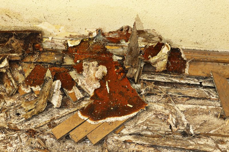 Decay Repair Service in Denver, CO