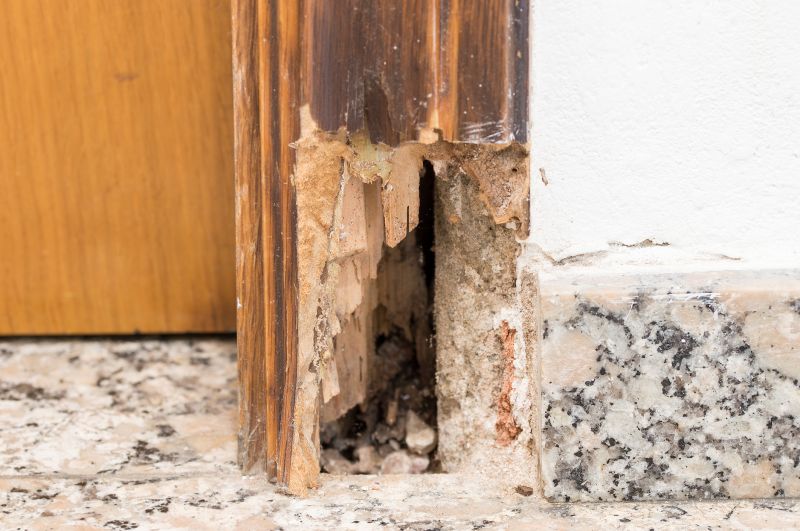 Decayed Wood Replacement in Denver County, CO