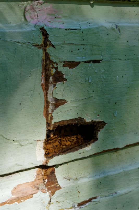 Decayed Wood Replacement in Roswell, GA