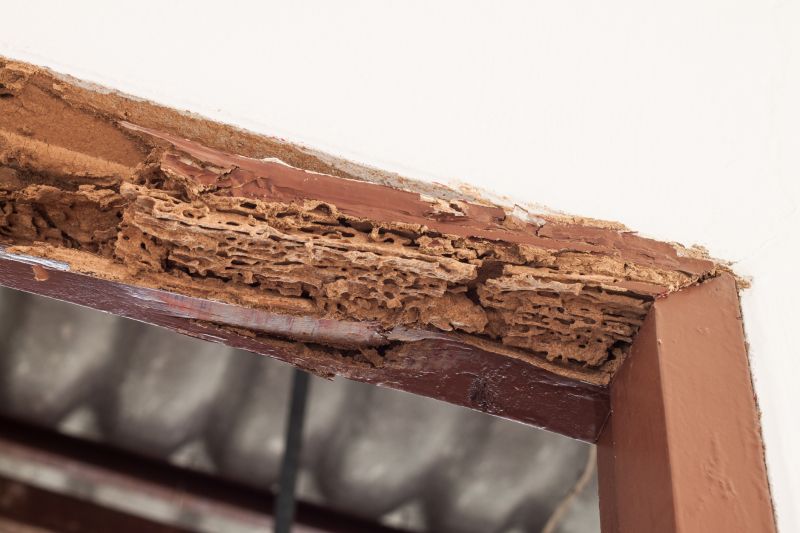 Rot Repair Service in Overland Park, KS
