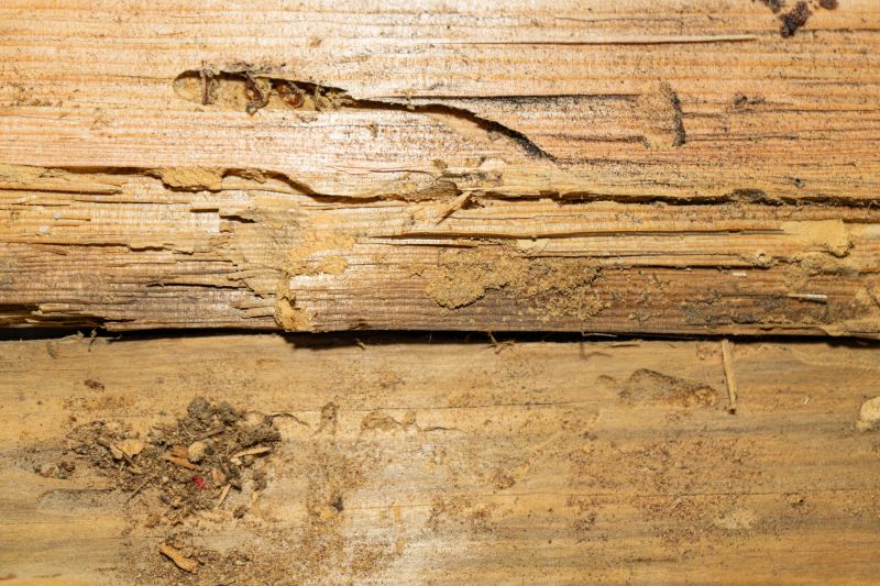 Rotten Wood Repair in Denver, CO
