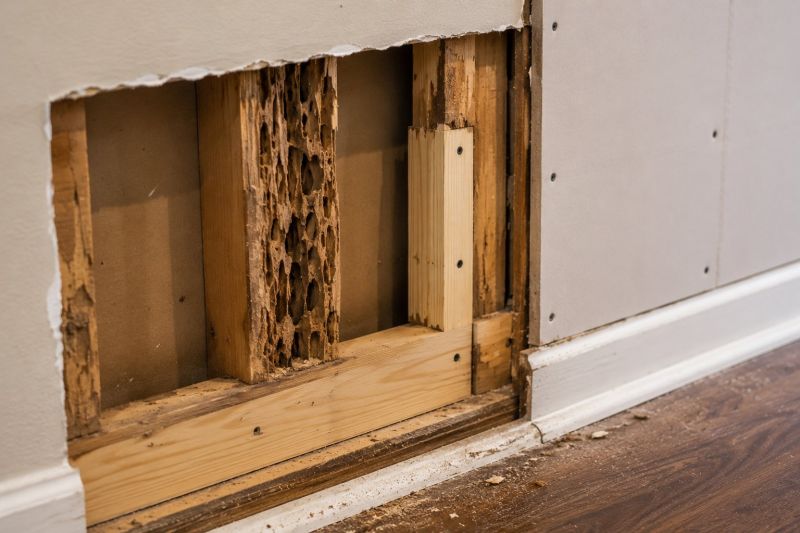 Termite Damage Repair Service in Littleton, CO