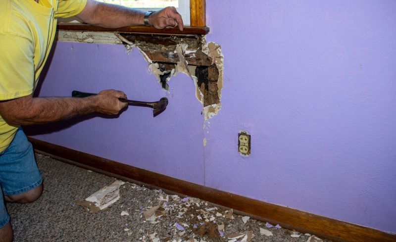 Termite Damage Restoration in Boulder, CO