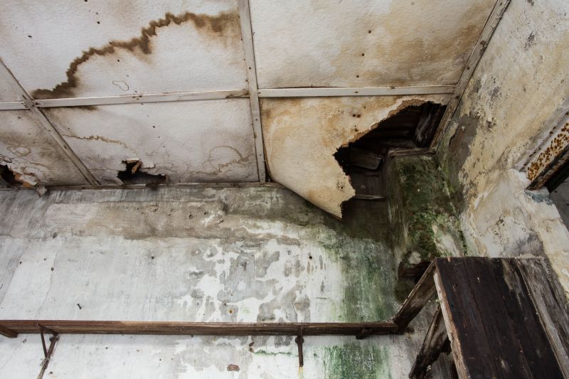 Water Damage Repair in Scottsdale, AZ