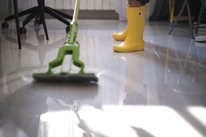 Water Removal Service in Gilbert, AZ