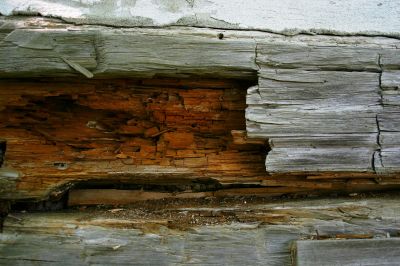 Wood Deterioration Restoration