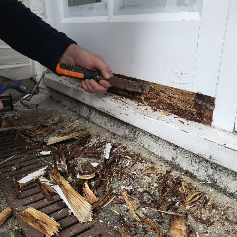 Wood Rot Removal in Denver County, CO