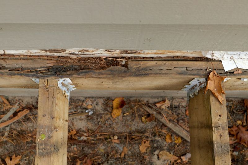 Wood Rot Removal in Longmont, CO